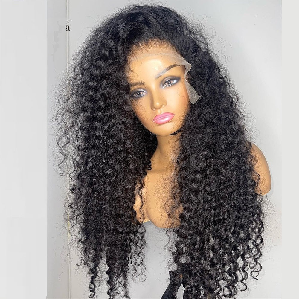 Curly Human Hair Wig with Baby Hair